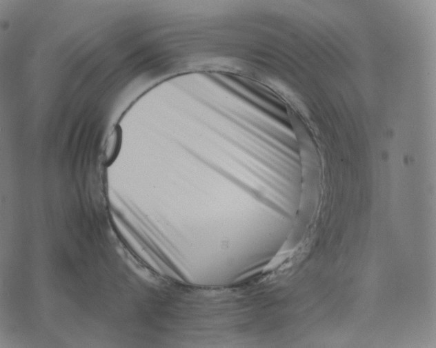 X0000074210816200609151554