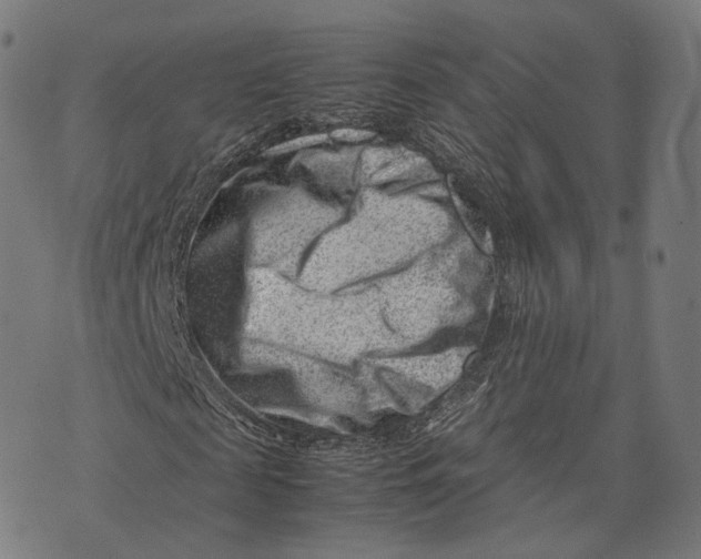 X0000074210817200609151554