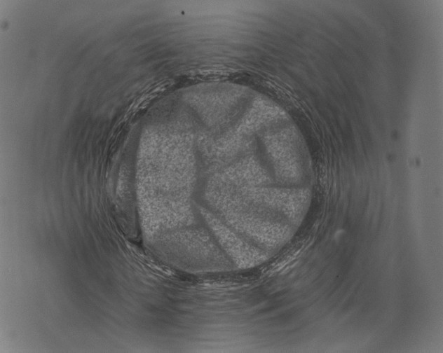 X0000074210818200609151554