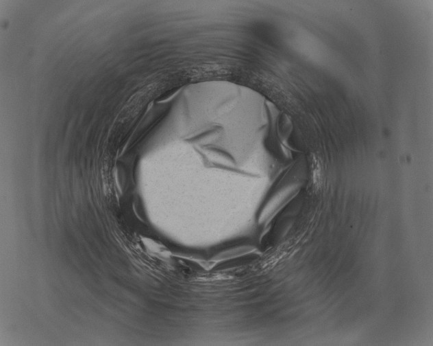 X0000074210819200609151554