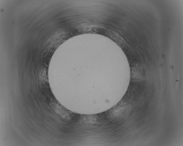 X0000074210820200609151554