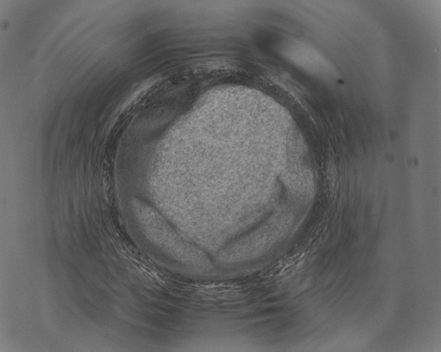 X0000074210823200609151554