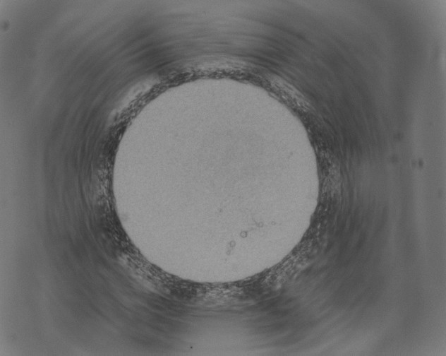 X0000074210824200609151554