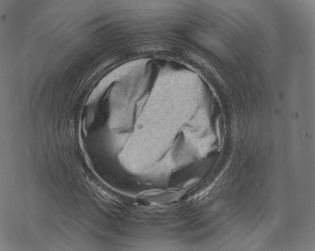 X0000074210825200609151554