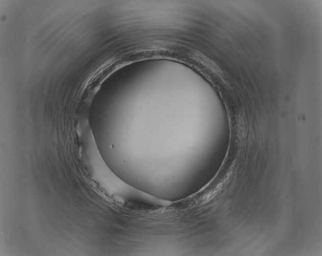 X0000074210826200609151554