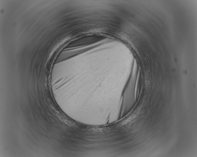 X0000074210827200609151554