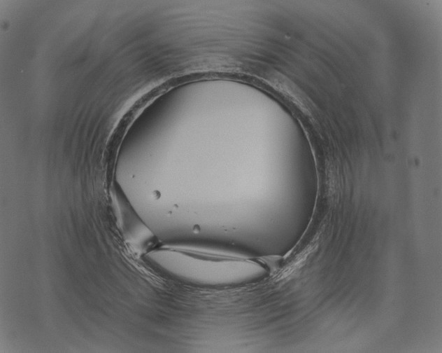 X0000074210830200609151554