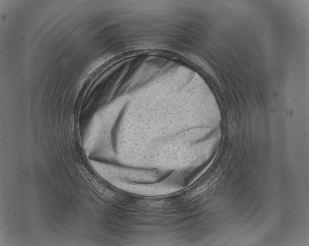 X0000074210831200609151554