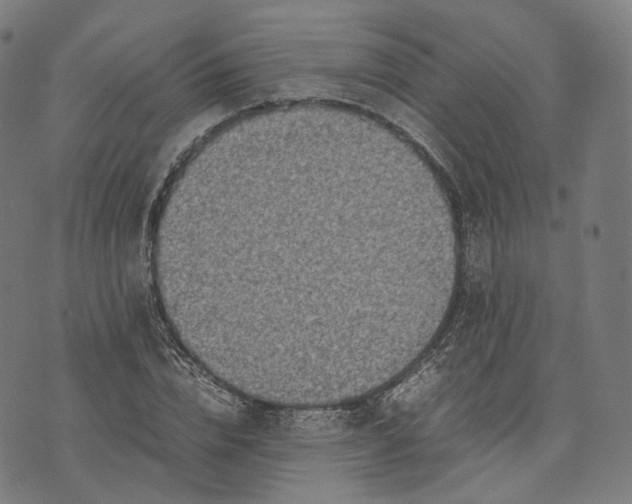 X0000074210832200609151554