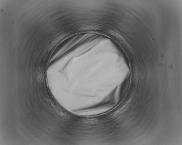 X0000074210833200609151554