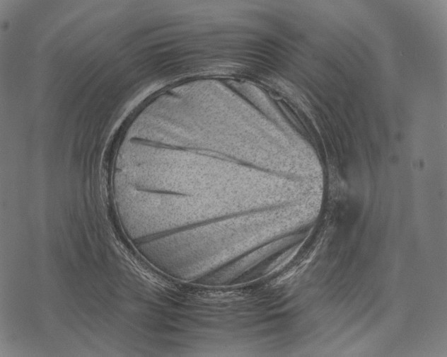 X0000074210835200609151554