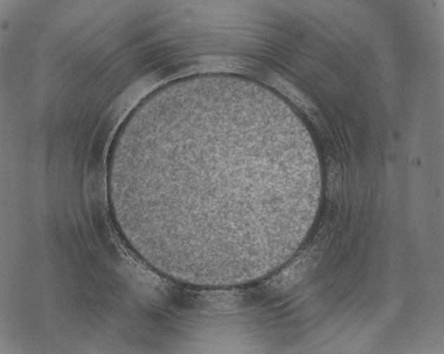 X0000074210836200609151554