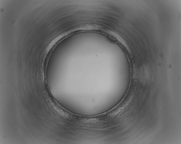 X0000074210837200609151554