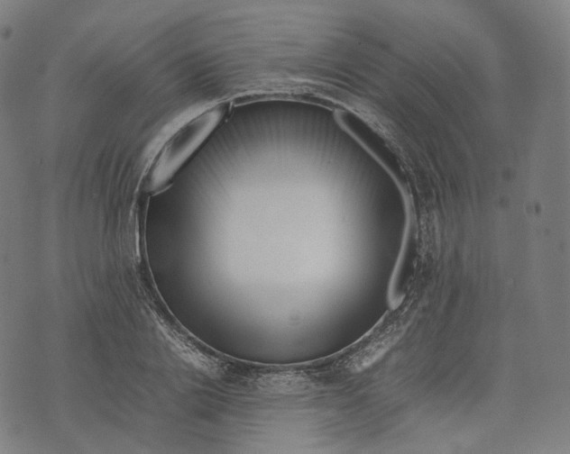 X0000074210838200609151554