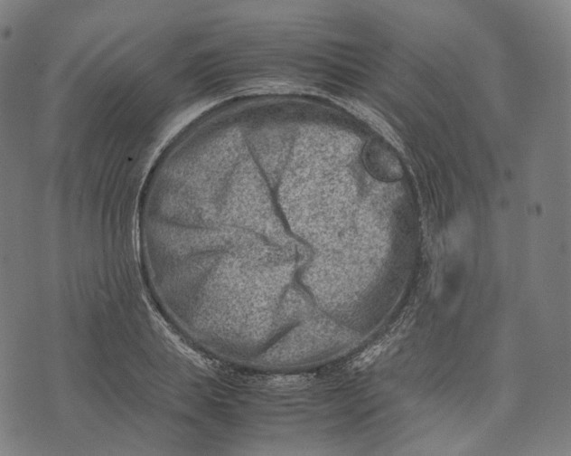 X0000074210839200609151554