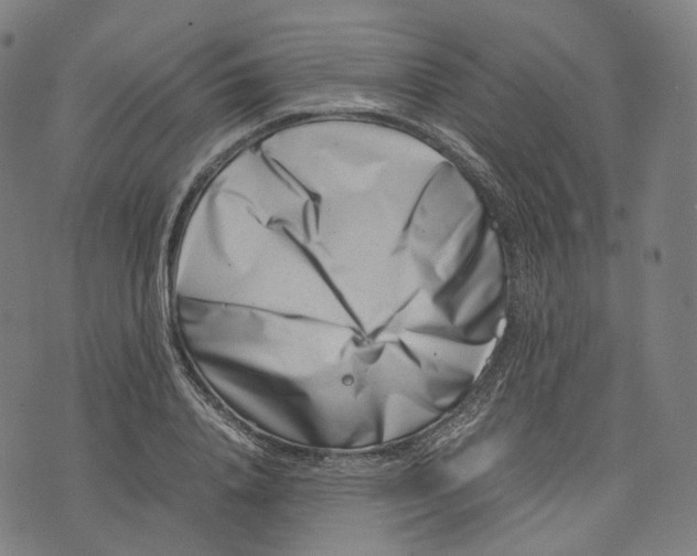 X0000074210840200609151554