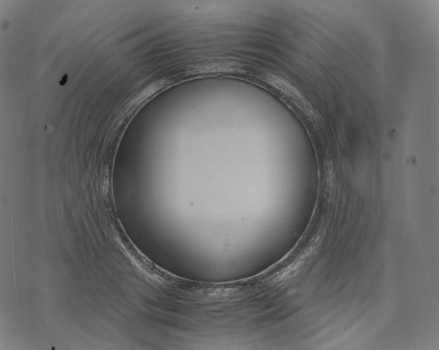 X0000074210841200609151554