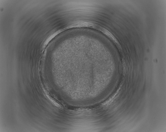 X0000074210842200609151554