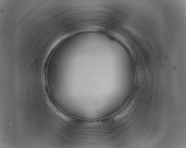 X0000074210843200609151554