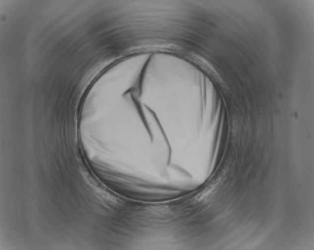 X0000074210844200609151554