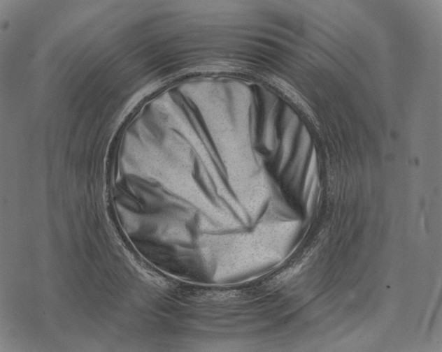 X0000074210845200609151554