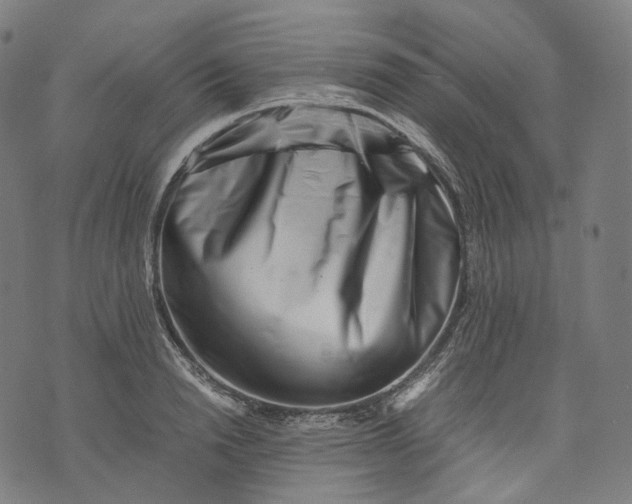 X0000074210846200609151554