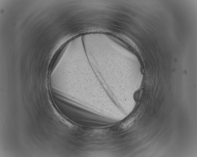 X0000074210847200609151554