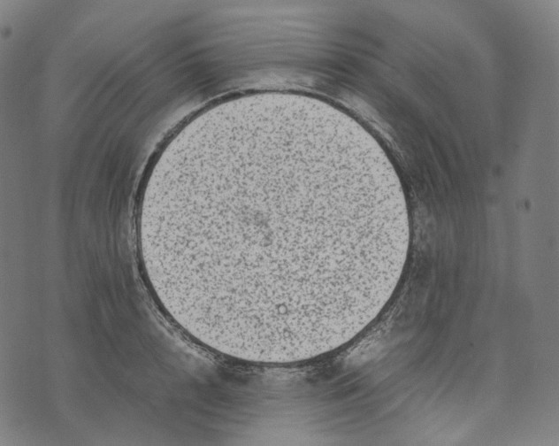 X0000074210848200609151554