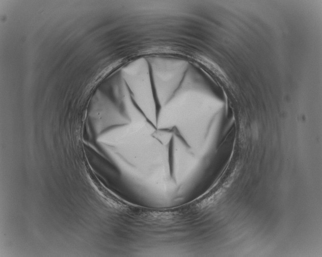 X0000074210849200609151554