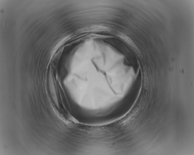 X0000074210850200609151554