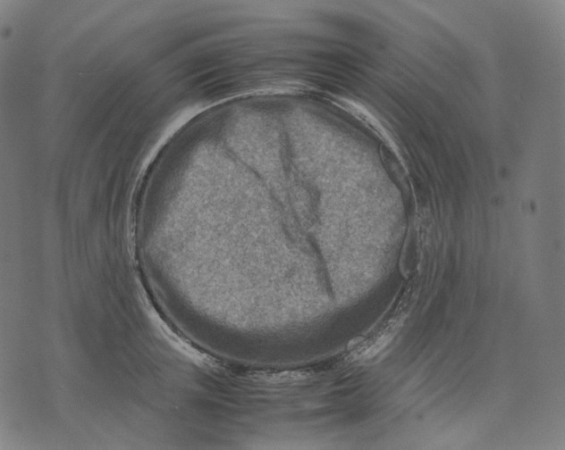 X0000074210851200609151554