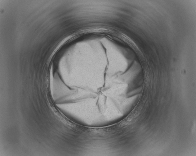 X0000074210852200609151554