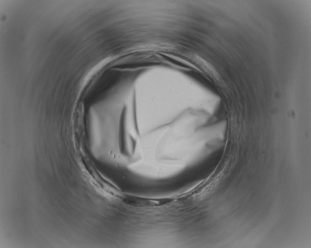 X0000074210854200609151554