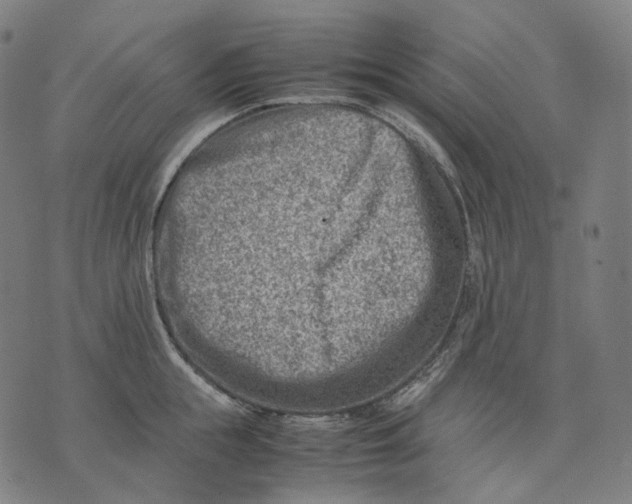 X0000074210855200609151554