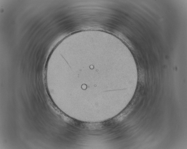 X0000074210856200609151554