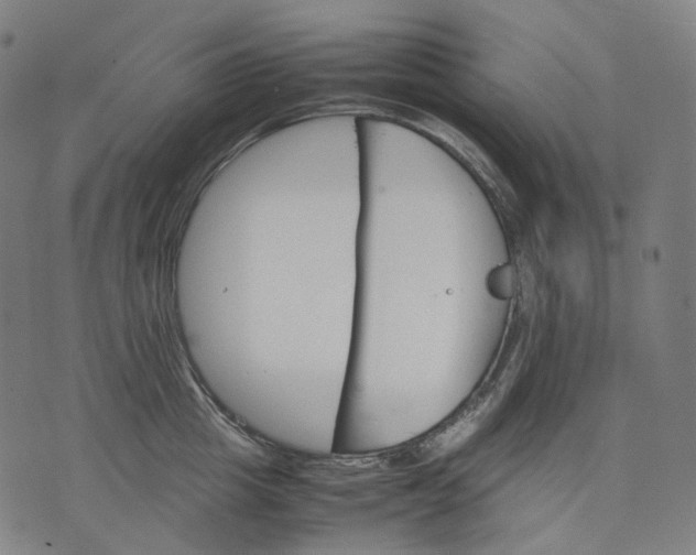 X0000074210857200609151554