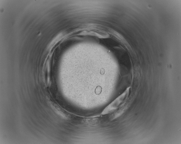 X0000074210858200609151554