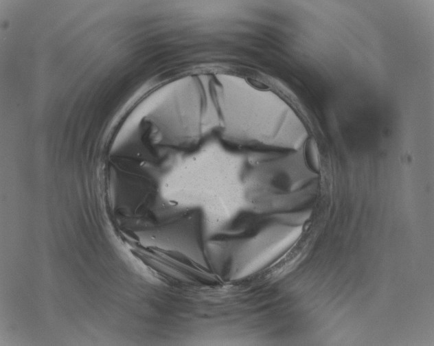 X0000074210859200609151554