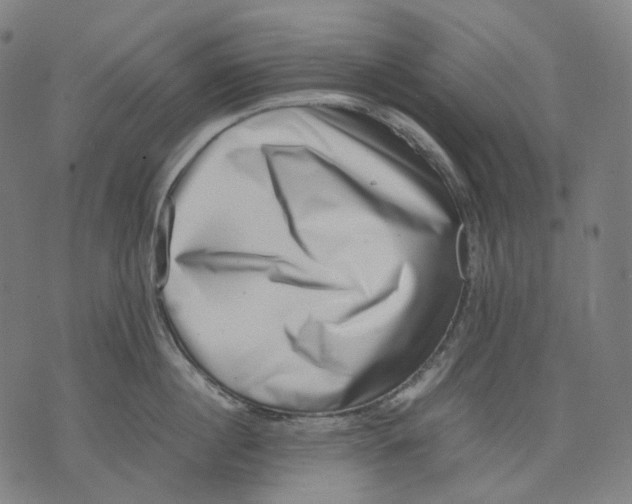 X0000074210860200609151554