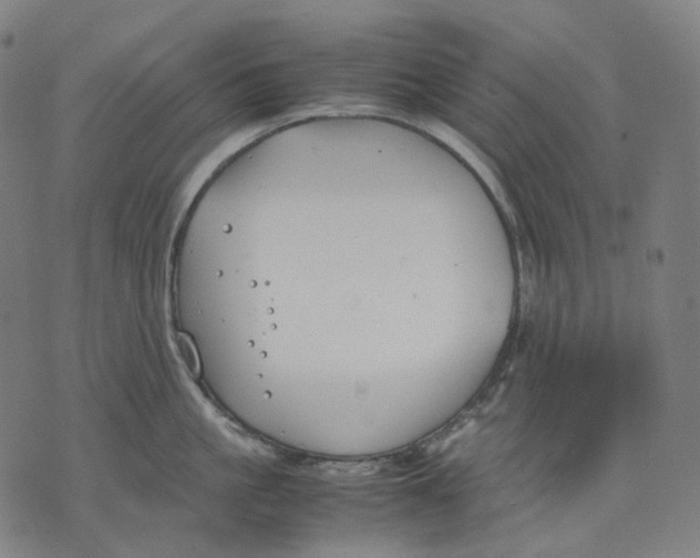 X0000074210861200609151554