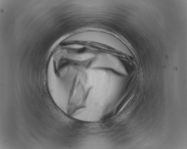 X0000074210862200609151554