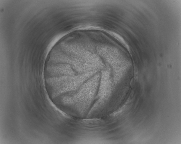 X0000074210863200609151554