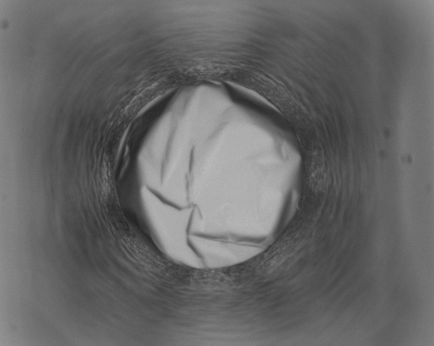 X0000074210866200609151554