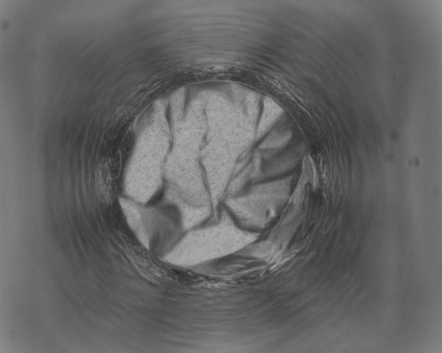 X0000074210868200609151554