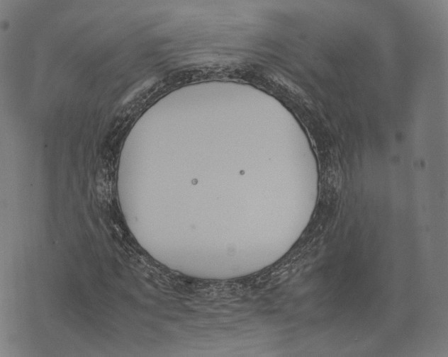 X0000074210869200609151554