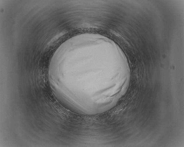 X0000074210870200609151554