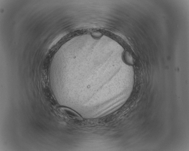 X0000074210871200609151554