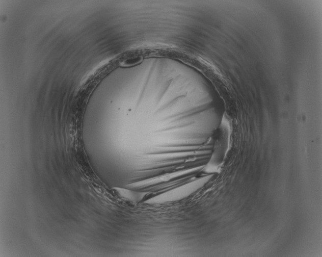 X0000074210872200609151554