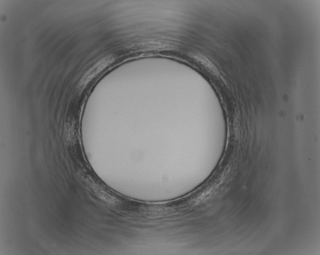 X0000074210873200609151554