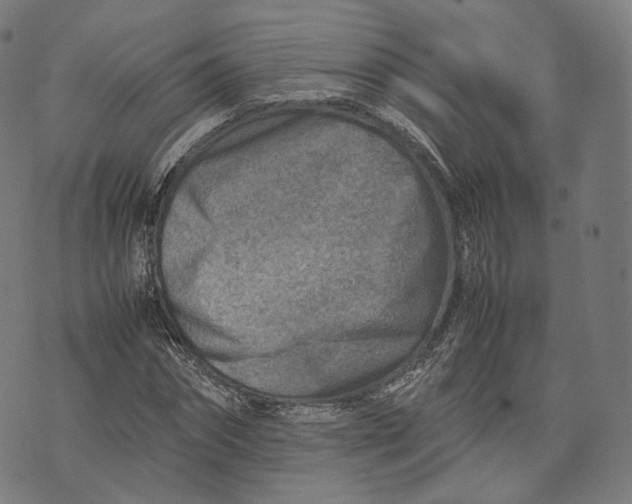 X0000074210874200609151553